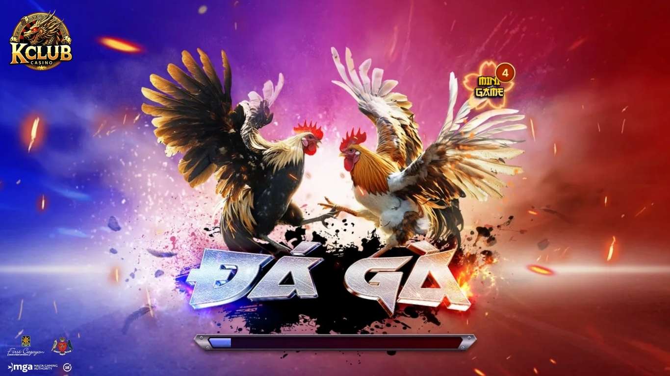 Thông tin sảnh cược đá gà Kclub