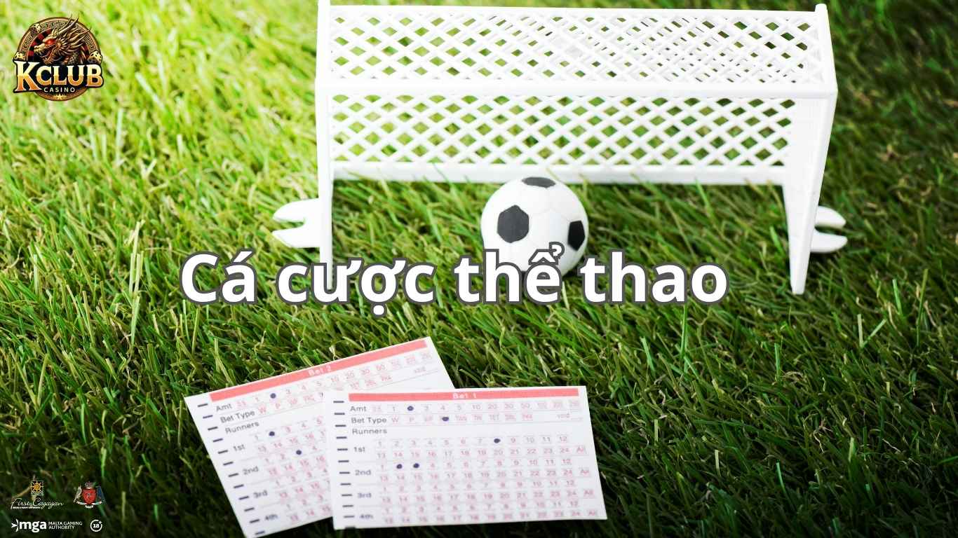 Các môn thể thao Kclub phổ biến nhất Các môn thể thao Kclub phổ biến nhất